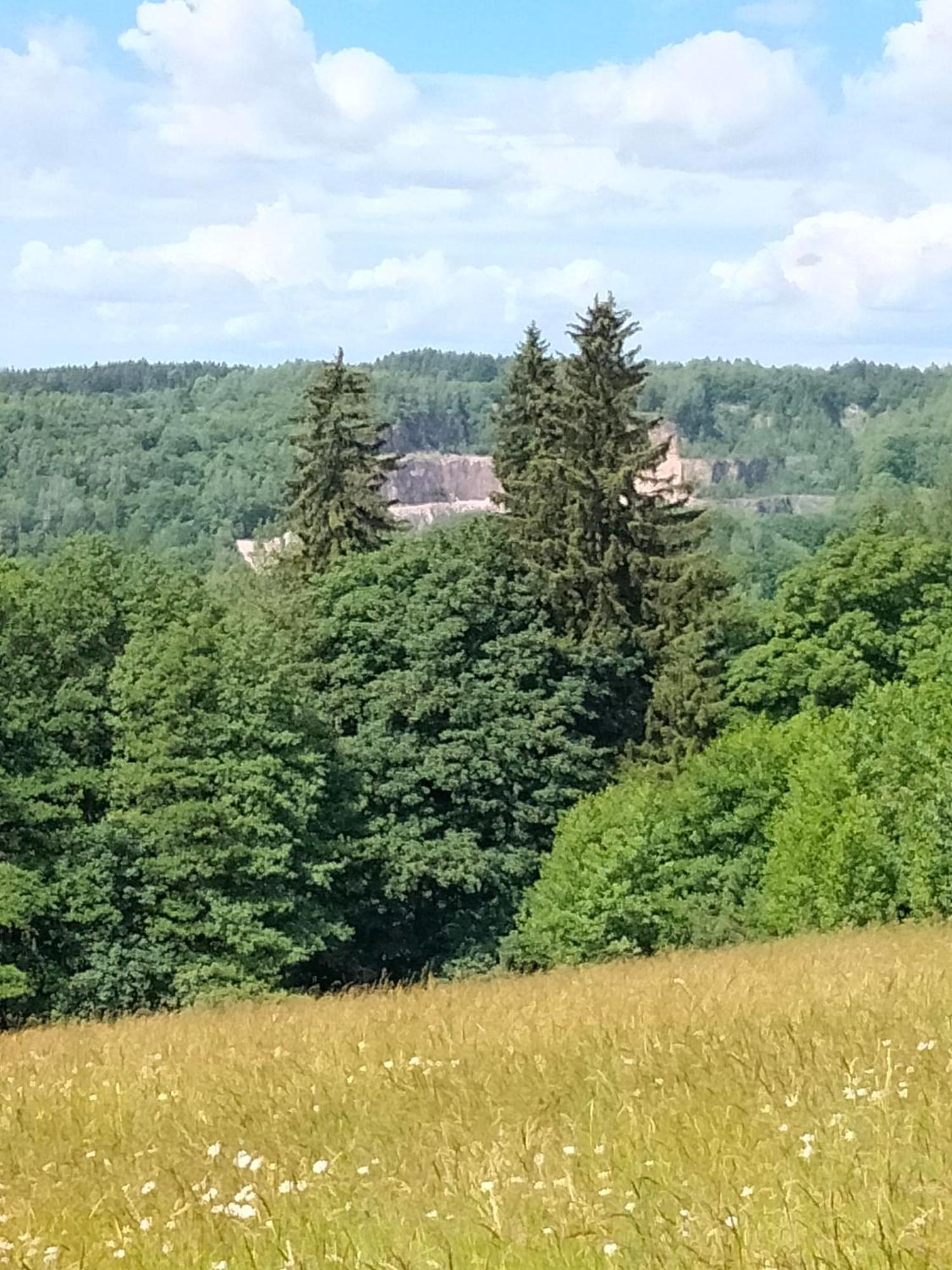 Ferienwohnung Lucni Apartman Tymiana Černý Důl Exterior foto